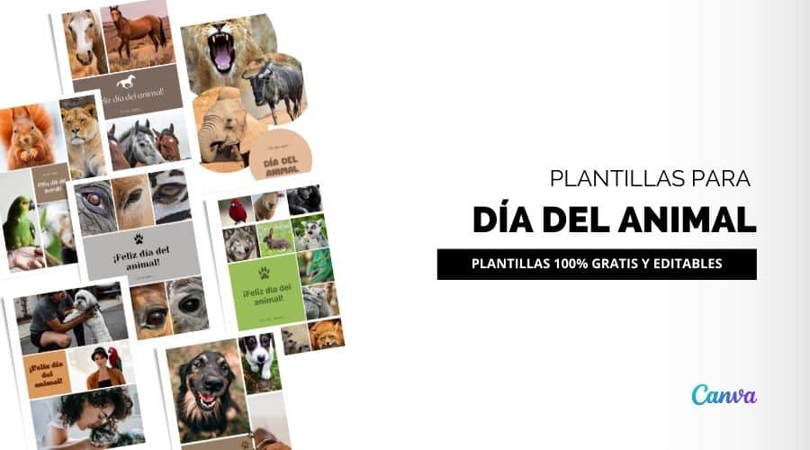 Plantillas para Instagram del Día del Animal Gratis