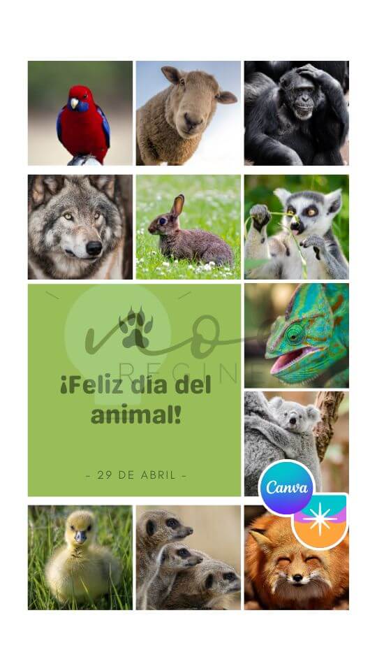 Plantillas para Instagram del Día del Animal Gratis